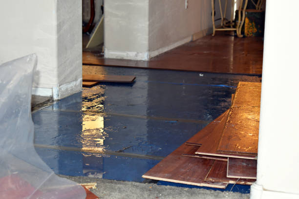 Professional Basement Water Removal technician working in Bay Port, MI